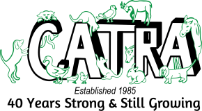 Catra